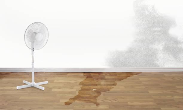 Best Flood damage cleanup  in Mendon, UT