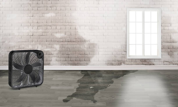 Mendon, UT Water damage restoration Company