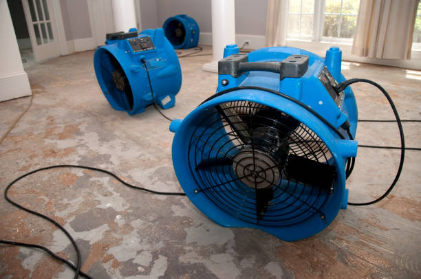 Best Commercial water damage restoration  in Mendon, UT