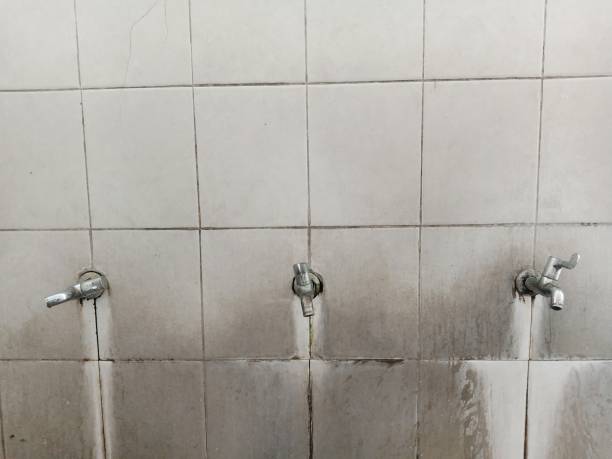 Best Water damage restoration process  in Mendon, UT