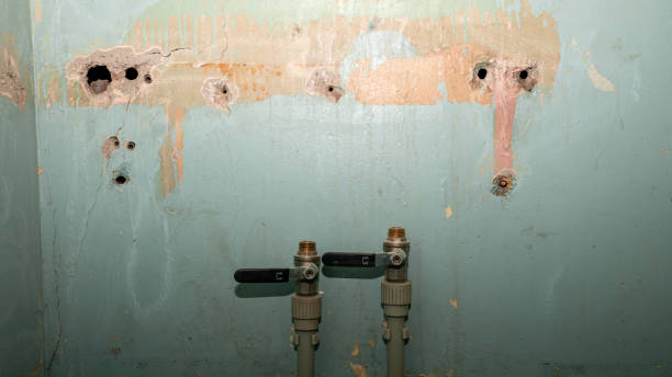 Best Water damage restoration near me  in Mendon, UT