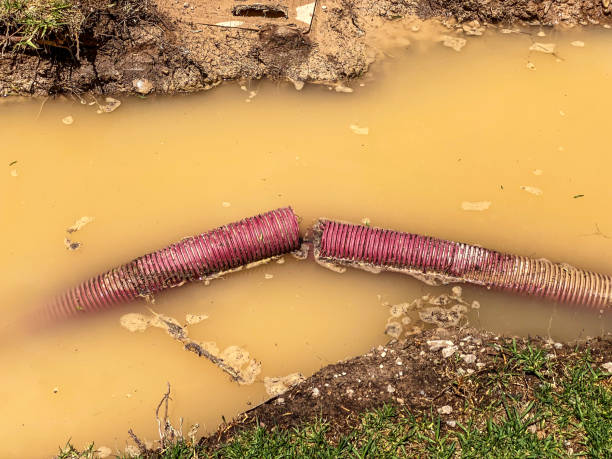 Best Water damage restoration near me  in Mendon, UT